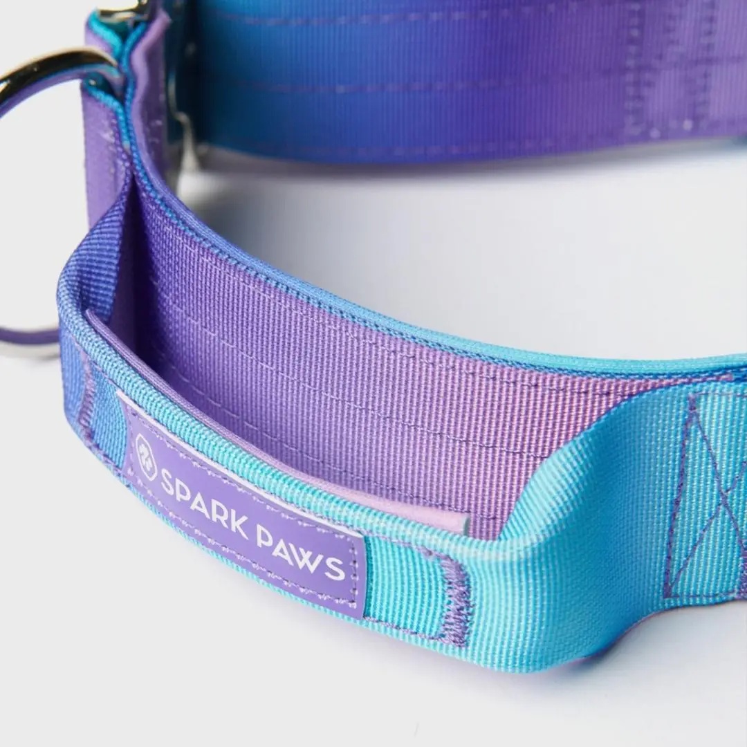 Collier pour Chien avec Poignée Tactique Rétro années 90 - Spark Paws